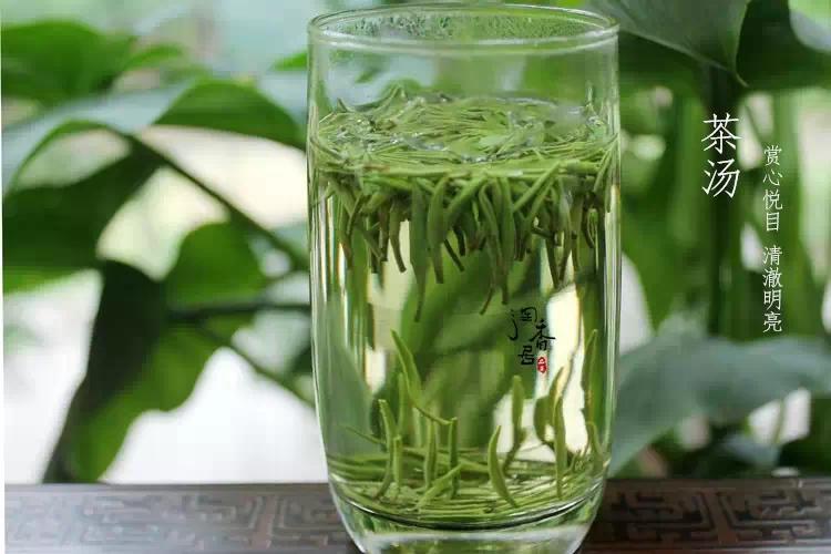 川茶“竹叶青”的功效与品饮