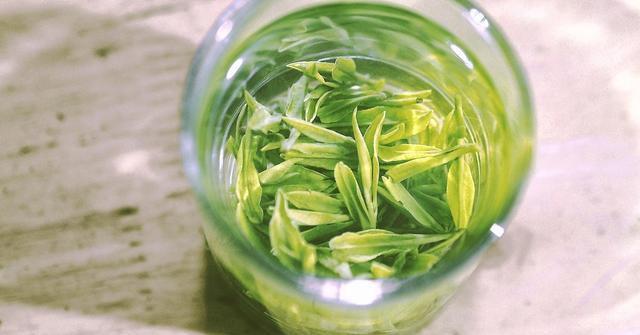 产自安徽群山深处的传统名茶——老竹大方茶你了解吗