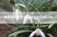 普洱茶介绍作文(普洱茶的介绍100字)