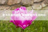 普洱茶真伪鉴别(普洱茶真伪鉴别网站)